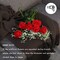 10Pcs Artificial Roses Flowers, Realistic Blossom Roses, Real Touch Silk Rose, Single Fake Flower Long Stem Bouquets for Home Wedding Party Decoration
